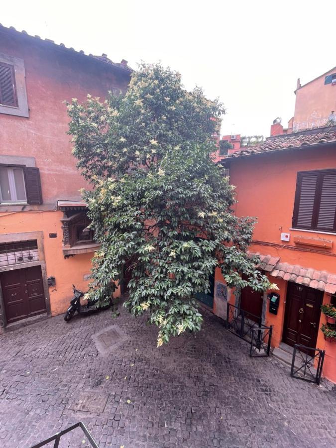 Domus Remi Apartment Rome Exterior photo